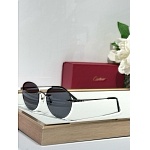 Cartier Sunglasses  # 287224