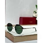 Cartier Sunglasses  # 287226