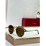 Cartier Sunglasses  # 287227