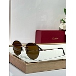 Cartier Sunglasses  # 287228