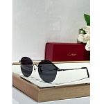 Cartier Sunglasses  # 287229