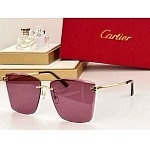 Cartier Sunglasses  # 287232