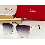 Cartier Sunglasses  # 287233