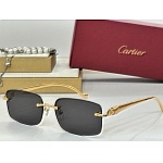 Cartier Sunglasses  # 287237