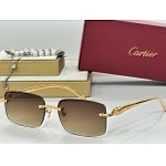 Cartier Sunglasses  # 287238