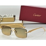Cartier Sunglasses  # 287239