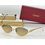 Cartier Sunglasses  # 287243