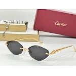 Cartier Sunglasses  # 287244