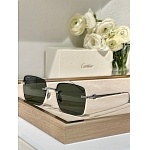 Cartier Sunglasses  # 287247