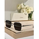 Cartier Sunglasses  # 287249