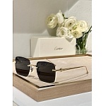 Cartier Sunglasses  # 287250