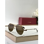Cartier Sunglasses  # 287251