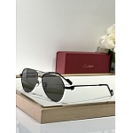 Cartier Sunglasses  # 287253