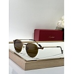 Cartier Sunglasses  # 287259