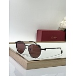 Cartier Sunglasses  # 287260
