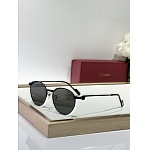 Cartier Sunglasses  # 287262