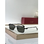 Cartier Sunglasses  # 287265