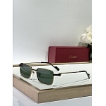 Cartier Sunglasses  # 287266