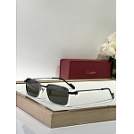 Cartier Sunglasses  # 287268
