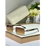 Cartier Sunglasses  # 287269