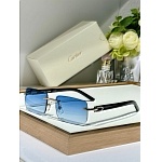 Cartier Sunglasses  # 287270