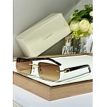 Cartier Sunglasses  # 287272