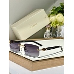 Cartier Sunglasses  # 287273