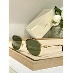 Cartier Sunglasses  # 287277