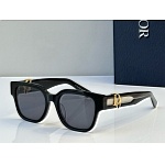 Dior Sunglasses  # 287337