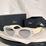 Dior Sunglasses  # 287440