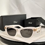 Dior Sunglasses  # 287537