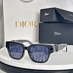 Dior Sunglasses  # 287584