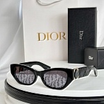 Dior Sunglasses  # 287587