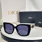 Dior Sunglasses  # 287609