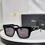 Dior Sunglasses  # 287633