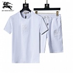 Burberry T Shirt&Short Set For Men # 288418