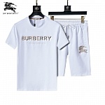 Burberry T Shirt&Short Set For Men # 288421