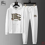 Burberry Tracksuits For Men # 289242