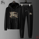 Burberry Tracksuits For Men # 289243