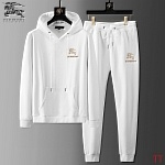 Burberry Tracksuits For Men # 289244