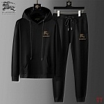 Burberry Tracksuits For Men # 289245