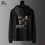 Burberry Tracksuits For Men # 289245, cheap For Men