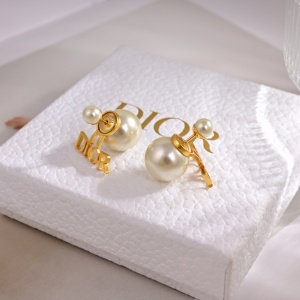 $25.00,Dior Earrings For Women # 291779