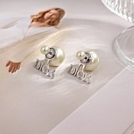 Dior Earrings For Women # 291780