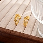 Louis Vuitton Earrings For Women # 291822