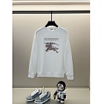 Burberry Hoodies For Men # 293364