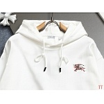 Burberry Hoodies Unisex # 293897, cheap For Men