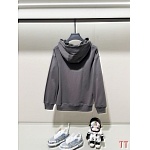 Fendi Hoodies Unisex # 293995, cheap Fendi Hoodies