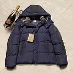 Burberry Down Jackets For Men # 294109