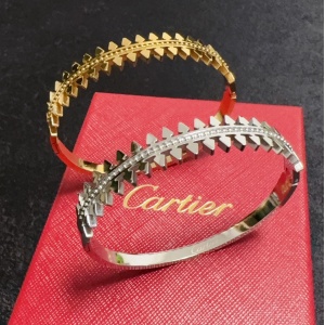 $29.00,Cartier Bangle For Women # 295875